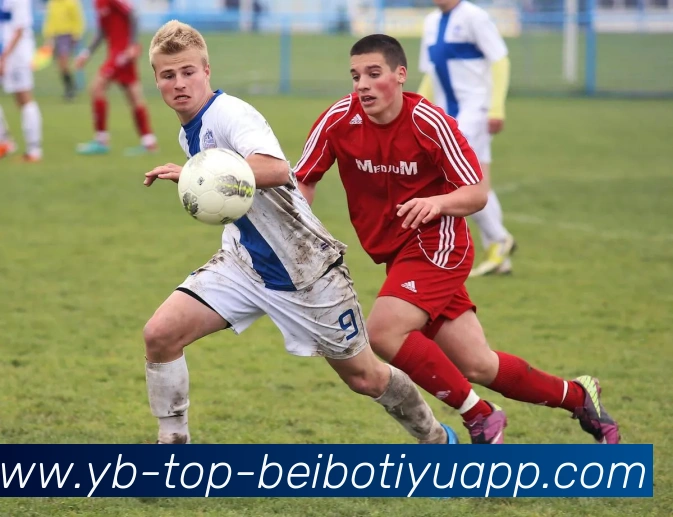 贝博体育APP 高清赛事图